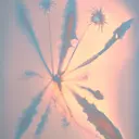 サクラブロウ 渋谷のプロフィール画像