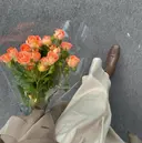 マルヤマ リナのプロフィール画像