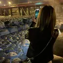 Eye ELSA lash 鈴木のプロフィール画像