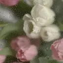 🤍 ナナ🤍のプロフィール画像