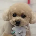 玉城 鈴菜のプロフィール画像