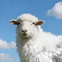 🎀 KiKi_nailのプロフィール画像