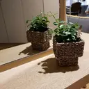 伊藤 勇貴のプロフィール画像