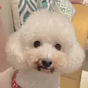 Beauty Sal on Milkのプロフィール画像