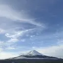 POLA 城東緑 fujiyuriのプロフィール画像