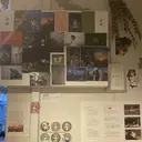 中野 碧海のプロフィール画像