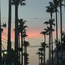 Maggie Nail🦩のプロフィール画像