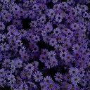 ともは/ モデル募集中🌷のプロフィール画像