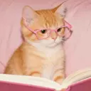 yu iのプロフィール画像