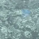 菊池 楓のプロフィール画像