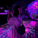 mouton eye ウタカ🌻のプロフィール画像