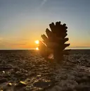 新町Kiki beautyのプロフィール画像