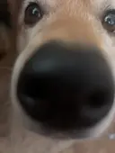 石井 希明のプロフィール画像