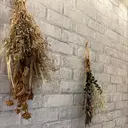 cilmeili sakiのプロフィール画像