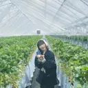 cocoro 🍀のプロフィール画像