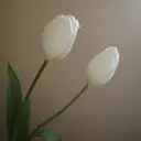 松下 れみのプロフィール画像