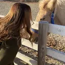 ナウラ 高村のプロフィール画像