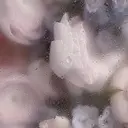 田原 愛美のプロフィール画像