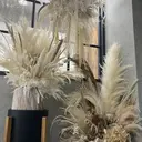 branch マリエのプロフィール画像