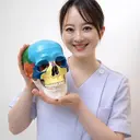 井上 麻衣のプロフィール画像