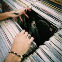 Miyagi Asamiのプロフィール画像