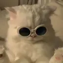 melty chiakiのプロフィール画像