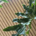 M. Junkoのプロフィール画像