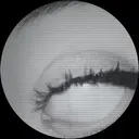 成田 梓のプロフィール画像