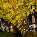 𝙔𝙪𝙪𝙠𝙖 .のプロフィール画像