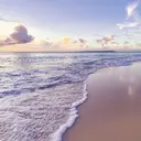 Chareir鷲宮 梅田のプロフィール画像