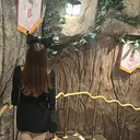 アトリエハーロウ sakuraのプロフィール画像