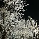 中村 祐希のプロフィール画像