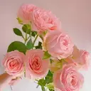 Aura  Nail 長さだし/パラジェルのプロフィール画像