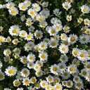 Rimi【リーミ】 なかもず店 サクラのプロフィール画像