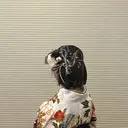姫田 ひよりのプロフィール画像