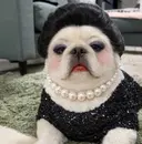 山口 真莉のプロフィール画像