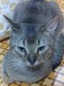 艶カラー◎矯正⭐髪診 断#天王寺区@山本
のプロフィール画像