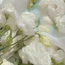 BGP 西宮 TANAKAのプロフィール画像