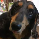 柴田 心那のプロフィール画像