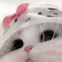 mitsuki .のプロフィール画像