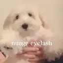 nuage eyelashのプロフィール画像