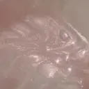 Fiara しま🎀のプロフィール画像