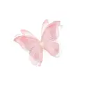 Alice 山本のプロフィール画像