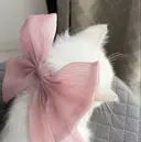 Li aile yuuka🩰🎀のプロフィール画像