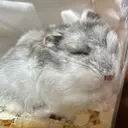 ルクール巻店 坂大 莉乃のプロフィール画像