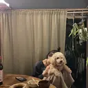 mugimugi 🌸エレカのプロフィール画像