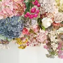 のぐち ふゆきのプロフィール画像
