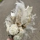 dazzle M🫧のプロフィール画像