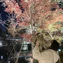 山中 萌香のプロフィール画像