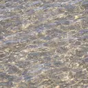 LORAN Hotaruのプロフィール画像